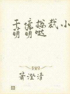 千亿总裁小娇妻萌萌哒