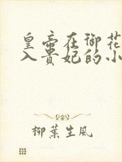 皇帝在御花园进入贵妃的小说封面