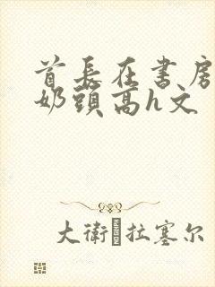 首长在书房含我奶头高h文