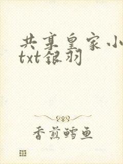 共享皇家小公主txt银羽