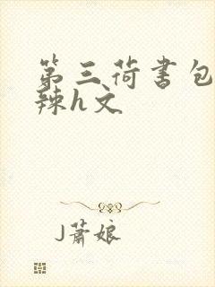 第三荷书包网高辣h文