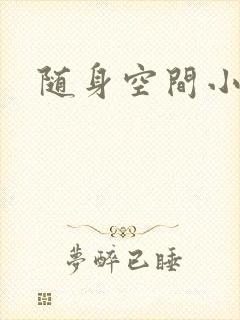 随身空间小说