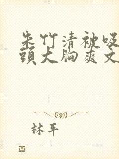 朱竹清被吸乳奶头大胸爽文