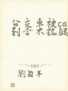 公交车被cao到合不拢腿视频