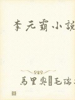 李元霸小说