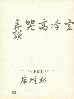 弄哭高冷室友小说