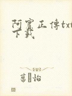 阿宾正传txt下载