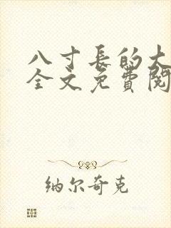 八寸长的大宝贝全文免费阅读封面