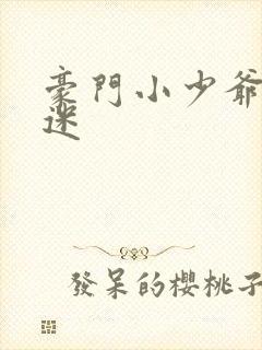 豪门小少爷是财迷封面