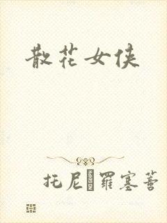 散花女侠封面