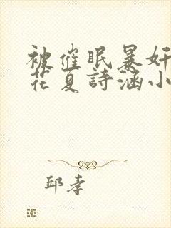 被催眠暴奸的校花夏诗涵小说封面