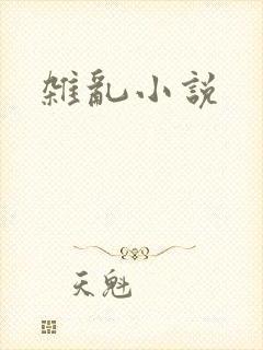 杂乱小说