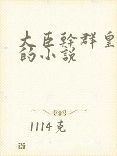 大臣干群皇太后的小说