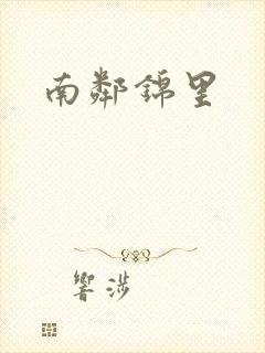 南邻锦里封面
