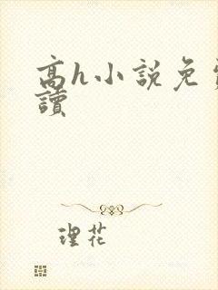 高h小说免费阅读