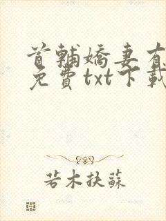 首辅娇妻有空间免费txt下载