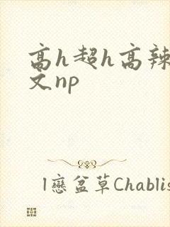 高h超h高辣h文np