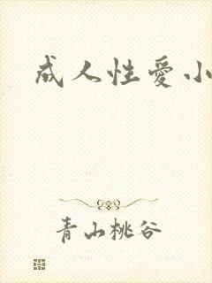 成人性爱小说封面