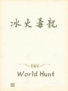冰火毒龙封面
