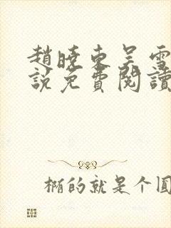 赵晓东吴雪晴小说免费阅读封面