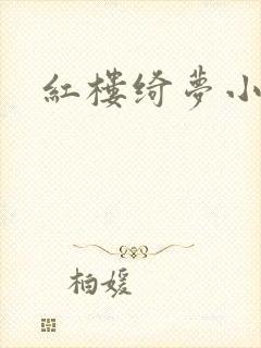 红楼绮梦小说封面