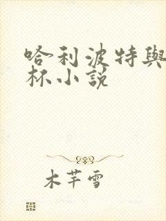 哈利波特与火焰杯小说