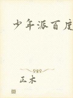 少年派百度百科