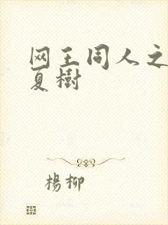 网王同人之桃生夏树