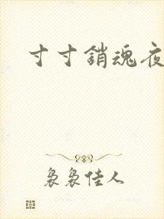 寸寸销魂夜春光