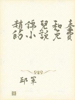 赵锦儿和秦慕修的小说免费阅读全文封面