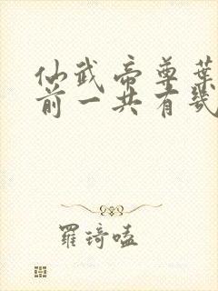 仙武帝尊叶辰目前一共有几个老婆封面