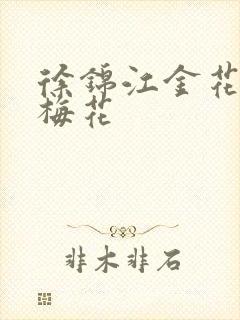 徐锦江金花瓶楷梅花封面