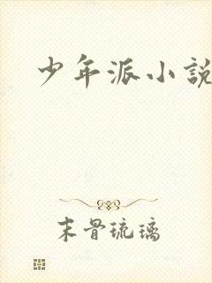 少年派小说