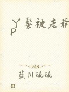 丫鬟被老爷玩NP封面