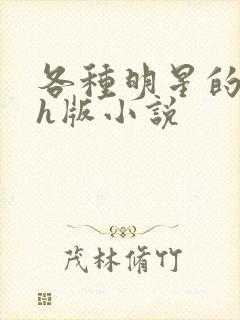 各种明星的综艺h版小说