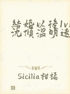 结婚以后1v1沈倾温明远封面