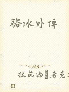 骆冰外传封面