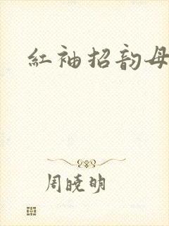 红袖招韵母攻略