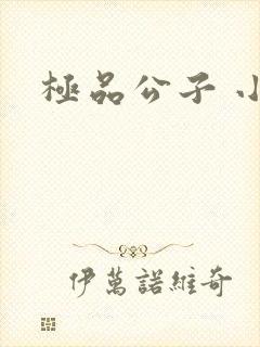 极品公子 小说封面