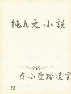 纯h文小说封面