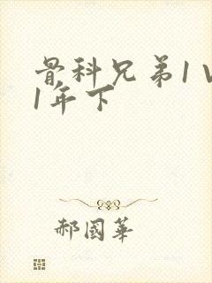 骨科兄弟1 V1年下封面