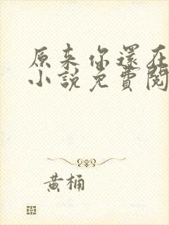 原来你还在这里小说免费阅读