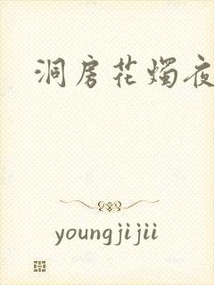洞房花烛夜小说