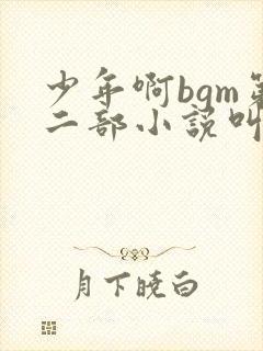 少年啊bgm第二部小说叫什么