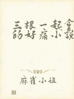 三根一起会坏掉的好痛小说