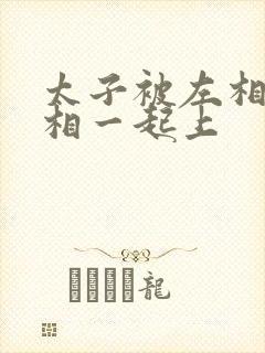 太子被左相和右相一起上