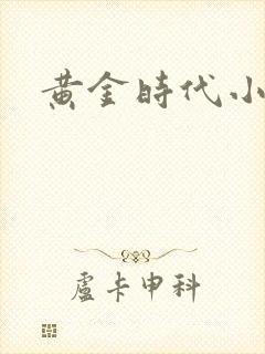 黄金时代小说封面