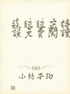 苏皎皎宋持的小说免费阅读