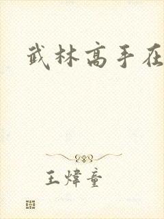 武林高手在异界