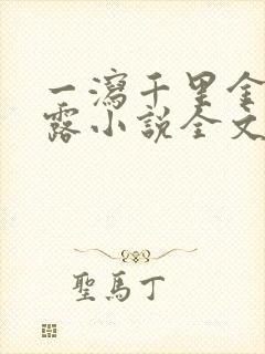 一泻千里金银花露小说全文免费阅读